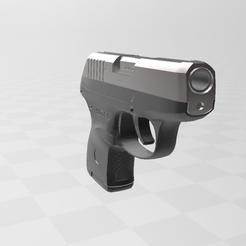 01.png RUGER LCP