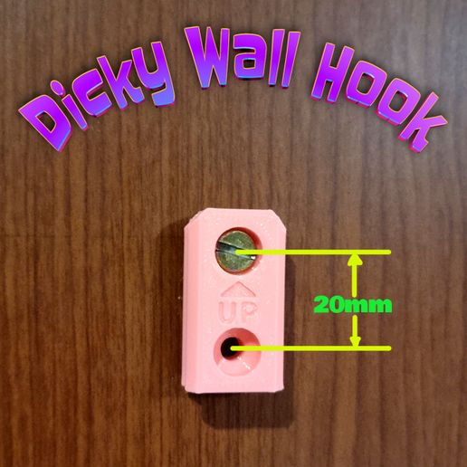 20251201_171202b.jpg Gancho de pared Dicky