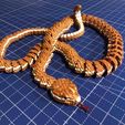 Serpiente y cascabel
