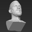 24.jpg Ragnar Lothbrook Vikings bust 3D printing ready stl obj
