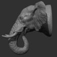 32.jpg Elephant head