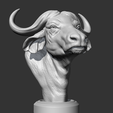 10.png Buffalo_Head_AM03 3D print model