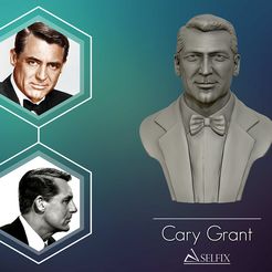 01.jpg STL file Cary Grant bust sculpture 3D print model・3D printing idea to download, selfix