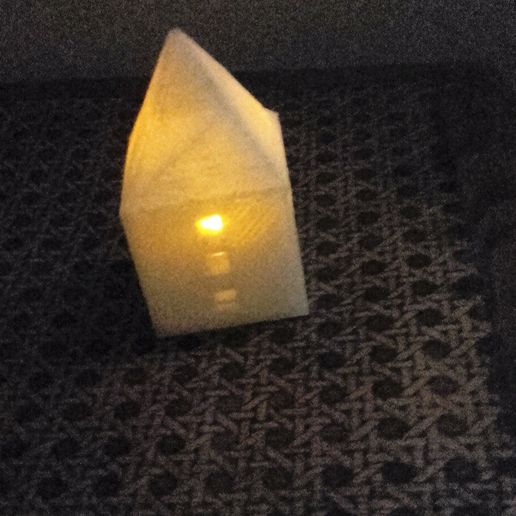 20170608_200934.jpg Small illuminated house