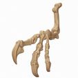 08.jpg 3D Allosaur arm and vertebra pack
