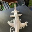 IMG-9374.jpg Archivo STL Flexi bone shark (print in place)・Modelo de impresora 3D para descargar, QBKO3D
