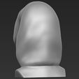 q7.jpg Ghostface from Scream bust ready for full color 3D printing
