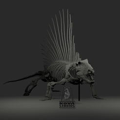 full1.png Dimetrodon skeleton