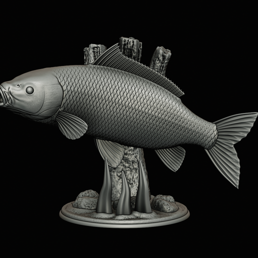 🎏 COMMON CARP (CYPRINUS CARPIO) трофей рыбы в движении скульптура ...