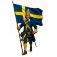 karoliner_fana.jpg Carolean Standard Bearer