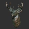 50.jpg White tailed deer bust