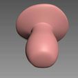 MSH4.jpg Mushroom