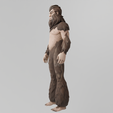 Pie-Grande0015.png Big Foot Lowpoly Rigged