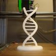 DSC02764_display_large_display_large.jpg Free STL file Reprap Double Helix・3D printer model to download
