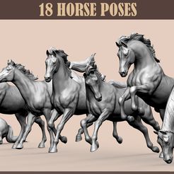 covers3.jpg 18 horse poses