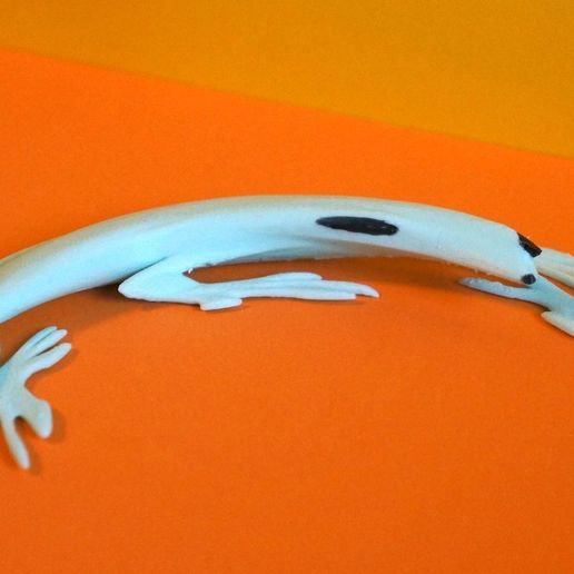 c47c849c207d89e21385d8848c794596_display_large.JPG Grenouille anamorphique