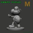 Koopa_M_Grey02.jpg KOOPA NINJA Pack Edition