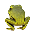 model-3.png Gold frog