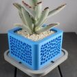 voronoi_planter.jpg Voronoi Planter