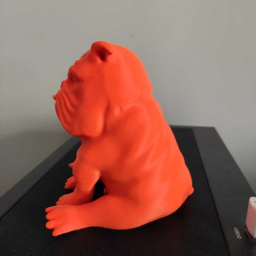 4.jpg Aggressive dog