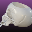 3.png Skull And Rose planter {sculpted