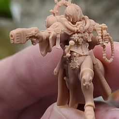 Palatine.jpg Free STL file Saintly Priestess of Palatial Power・3D print design to download
