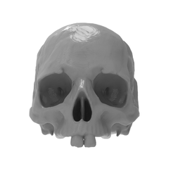 untitled.5846.png Archivo STL Cenicero Calavera/ Cenicero Tête de Mort・Modelo para descargar y imprimir en 3D