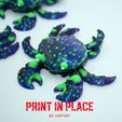 cangrejo6.jpg blue crab printinplace