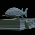 Sturgeon-statue-21.png fish beluga / sturgeon / huso huso / vyza velká statue detailed texture for 3d printing