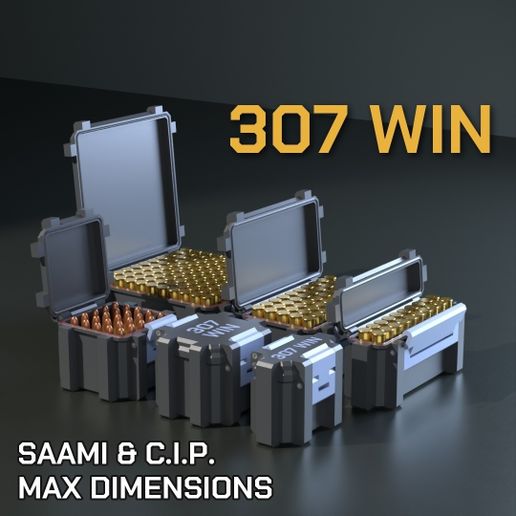 SBOX AMMO BOX .307 Win. AMMUNITION STORAGE 10/20/25/50/100 ROUNDS CRATE ORGANIZER 307 Win