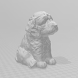 1.png labradoodle