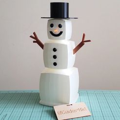 blocky-the-snowman-photo-1.jpg Blocky the Snowman