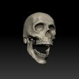 ZBrush-Document6.jpg Regular Human Skull - Detachable Jaw