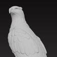 Victorian-Style-Eagle-Sculpture-3D-Model-STL-FBX-OBJ-GLB-9.jpg Victorian Style Eagle Sculpture 3D print model