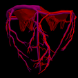 20.png 3D Heart Anatomy with Codominance