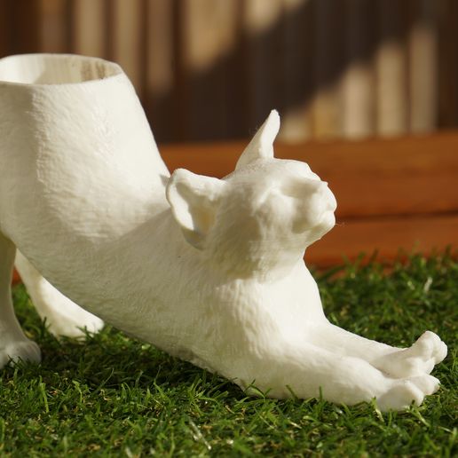 Blumentopf Katze
