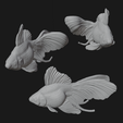 ViewPort.png Ryukin Fancy Goldfish - Realistic Fish Pet