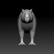 caiy3.jpg Capybara - Capybara 3d model for 3d print
