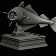 coalfish-open-mouth-statue-box-47.png COALFISH / POLLACHIUS VIRENS trophy with storage space for 3d printing