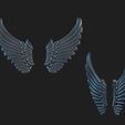 4.jpg wings 2
