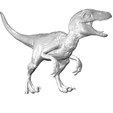 Rapty12.png Velociraptor Blue with Base