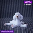4.jpg Realistic Poodle dog articulated flexi toy named Luna  (STL & 3MF)
