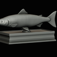 Salmon-statue-box-1-30.png fish sculpture of a Atlantic salmon / salmo salar with storage space / for 3d printing