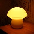 09.jpg Table lamp “Edulis Fungus” parametric