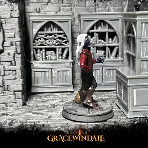 Gracewindale-Gatehouse-Bookcase-bookcase-photo-1.jpg Gatehouse - Librería