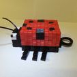 20201119_183832.jpg Minecraft Ladybird Ladybug