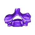 c5.stl Spine