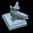 zander-open-mouth-tocenej-42.png fish zander / pikeperch / Sander lucioperca trophy statue detailed texture for 3d printing