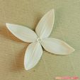 05b.jpg flowers: Ixora - 3D printable model