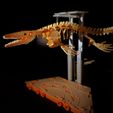premium-dino-set-pic3.jpg [3Dino Puzzle]Large Dinosaur Museum Premium Set